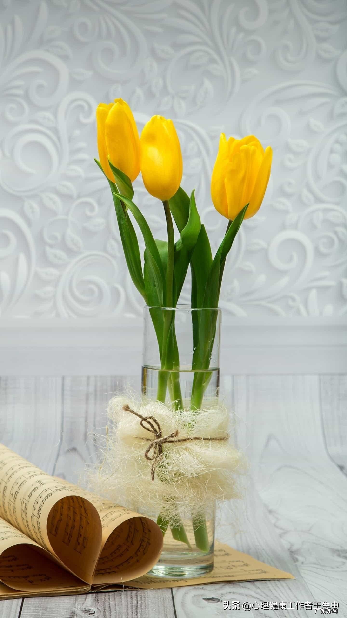 人贵在坚持,只要坚持不懈,心在哪里哪里就是天堂,你认同吗?