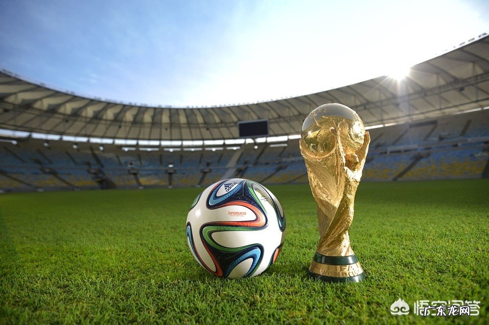 如果中国承办世界杯,中国选哪十个城市来承办比赛比较好?