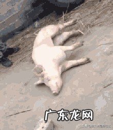 同学的妈妈喜欢上我了,已经向我表白了怎么办?