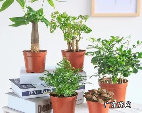 现在在农村干点啥挣钱呢 在农村干啥挣钱