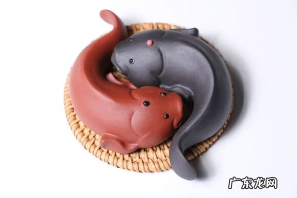 看风水的书有哪些 风水书可以看吗