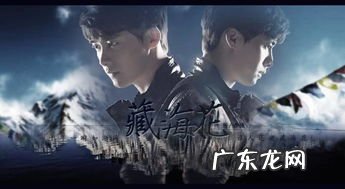 藏海花2在哪里连载 藏海花2完结了吗2021