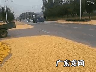 你见过哪些让人爆笑的段子?