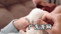 你见过哪些让人爆笑的段子?