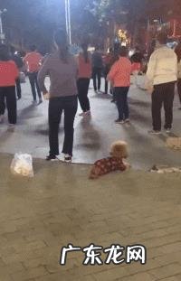 你见过哪些让人爆笑的段子？