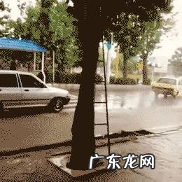 你见过哪些让人爆笑的段子？