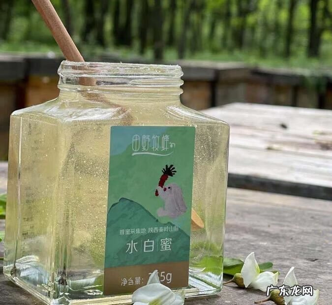 白醋加蜂蜜能减肥吗 白醋加蜂蜜减肥方法