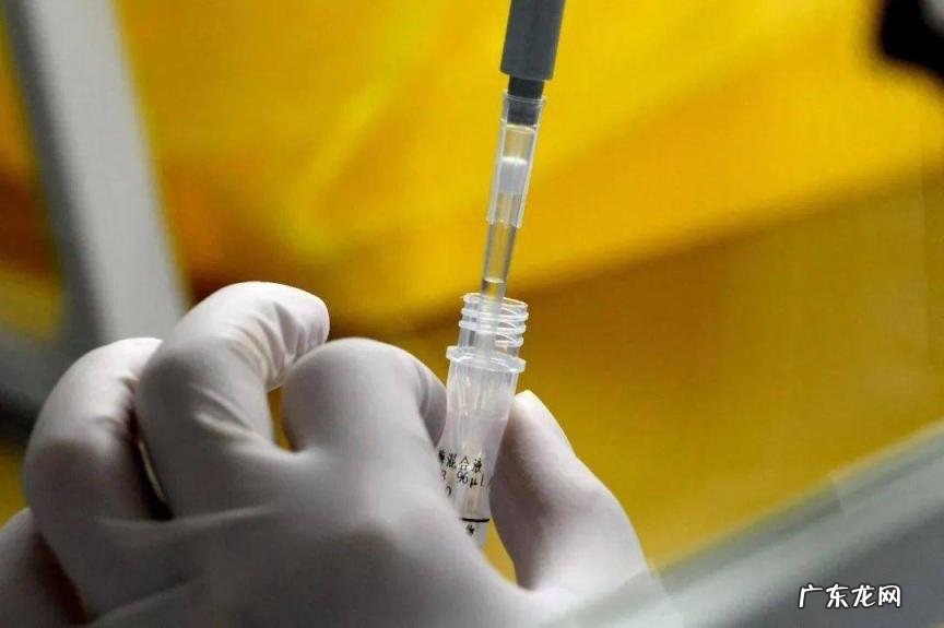 江苏新增本土确诊病例1例 为徐州市报告 江苏新增本土确诊病例1例 为南京报告