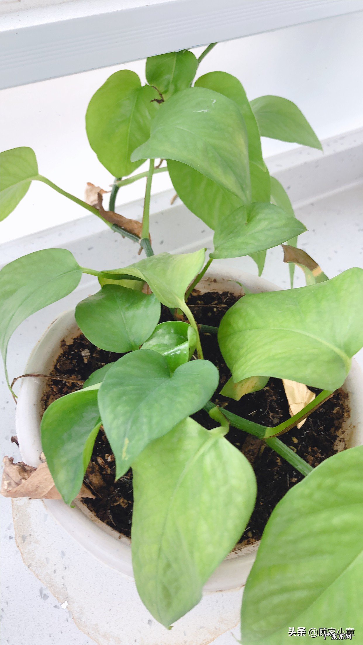 十月怀胎,一朝分娩!面对随时有可能到来的分娩过程,你会感到不知所措吗?