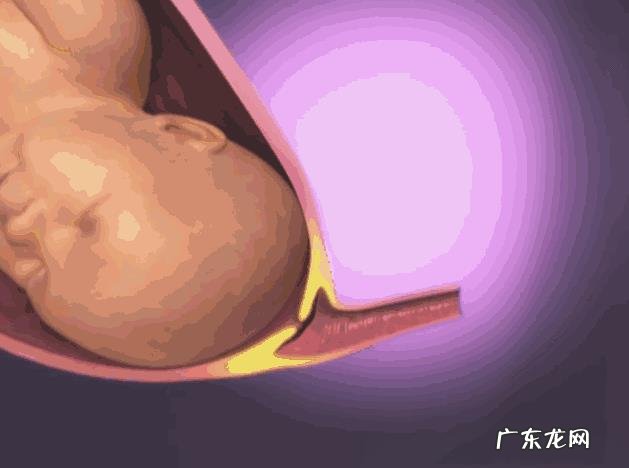 十月怀胎,一朝分娩!面对随时有可能到来的分娩过程,你会感到不知所措吗?