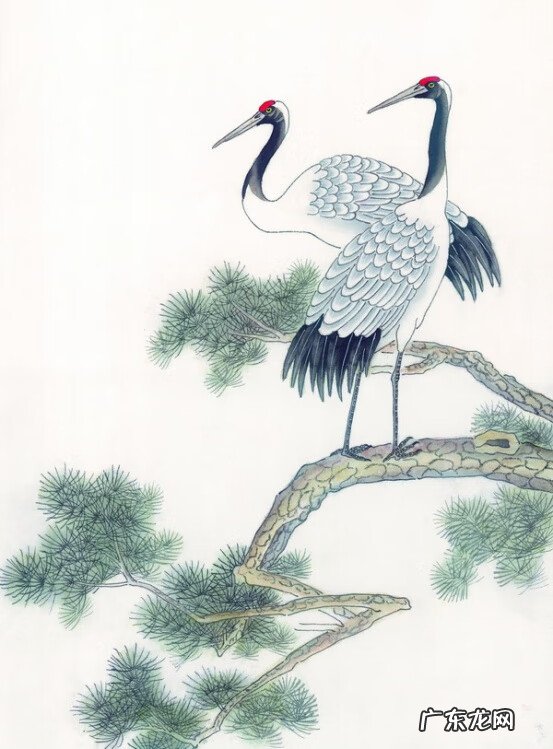 白鹤展翅图片 白鹤展翅风水图片