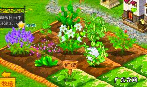 洛克王国雪精灵性格 洛克王国雪精灵值得练吗