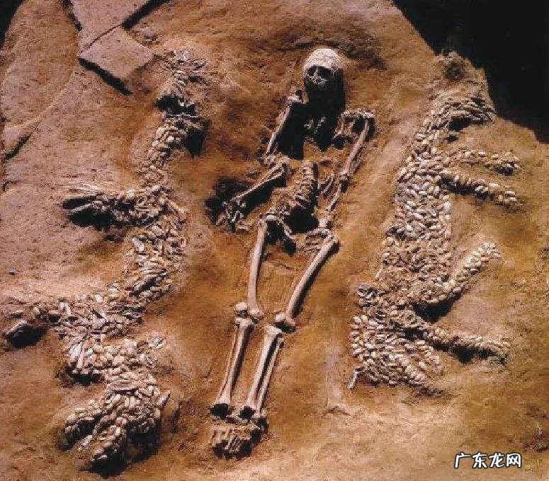 口袋妖怪三国志破解版 口袋神兽三国志破解版下载