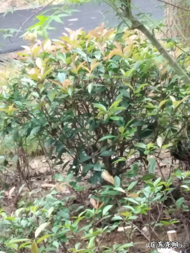 容易紧张,性格过于脆弱怎么办?