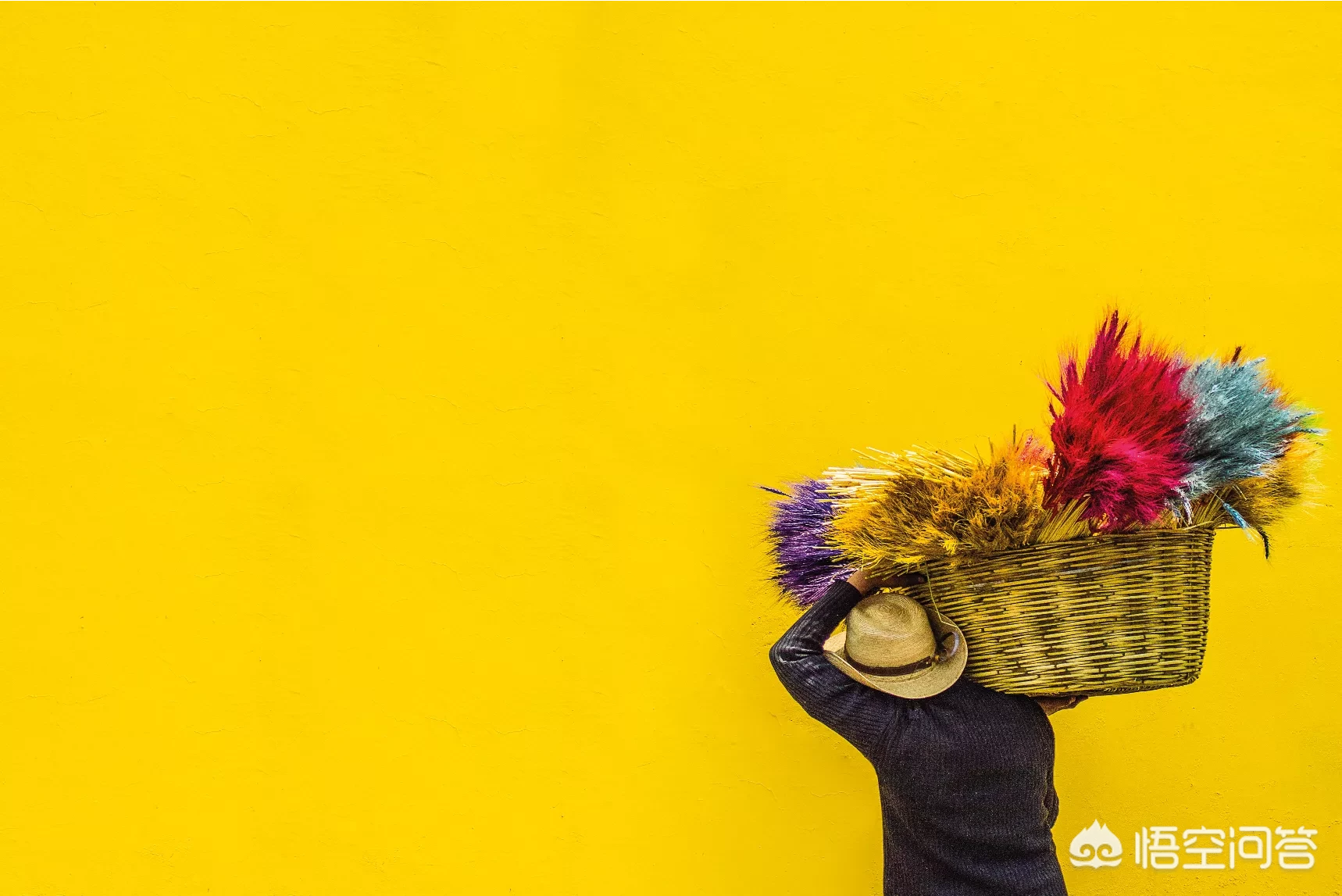 如何利用色彩玩转摄影?