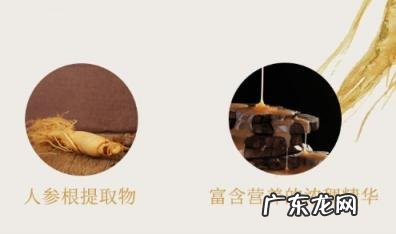 秀雅韩真生精华乳价格 秀雅韩真生精华液和精华乳