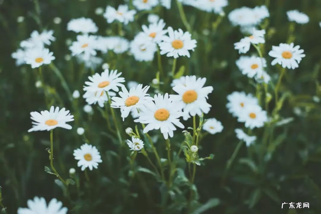 目前最有潜力的行业 潜力行业是什么意思