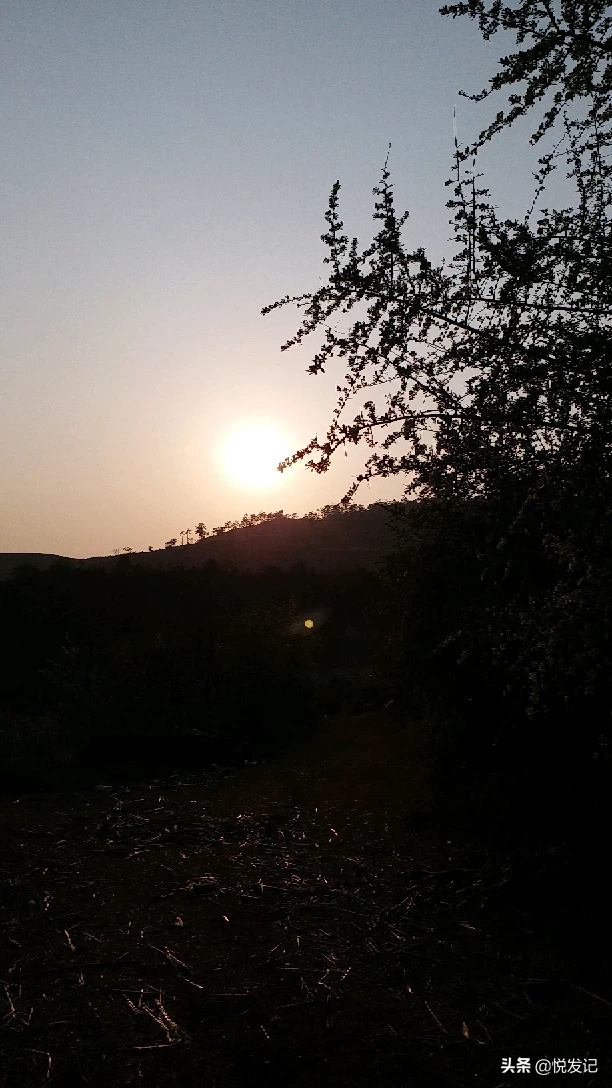 夕阳下适合做什么?