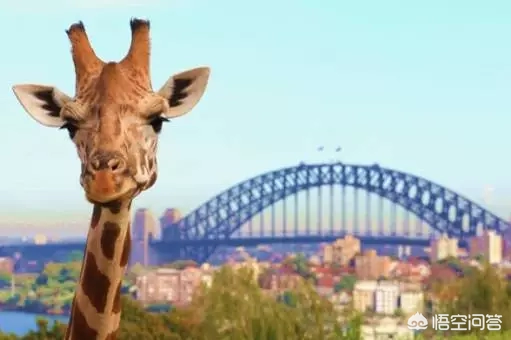 寒假适合小情侣去旅游的地方?