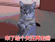 腾飞的寓意 腾飞出行