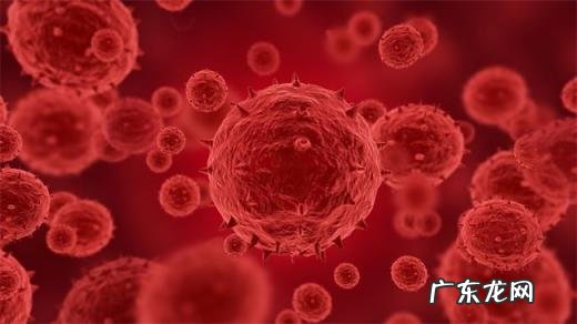 美国大片猴子病毒感染 美国猴痘病毒会传染吗视频