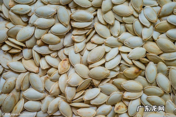 南瓜根的药用价值 南瓜子的药用价值?