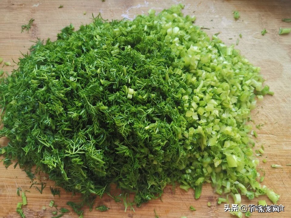 茴香苗图片 小茴香苗图片