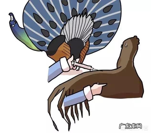 孩子害怕打针,家长如何帮助孩子克服恐惧心理?