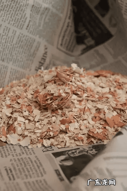 鸡蛋壳的妙用作文