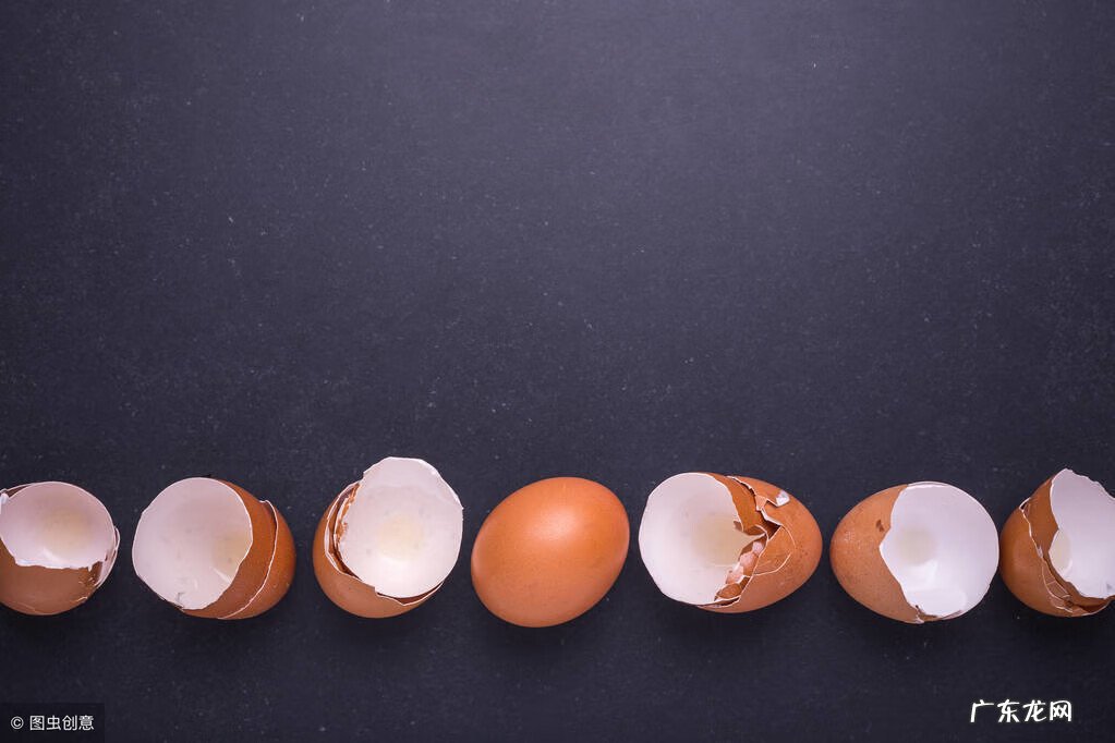 鸡蛋壳的妙用作文