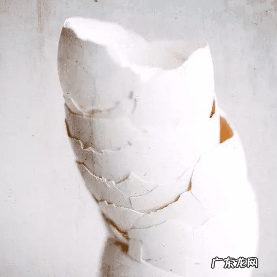 鸡蛋壳的妙用作文