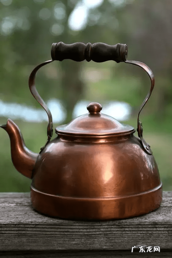 鸡蛋壳的妙用作文