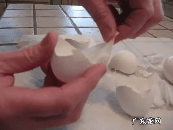 鸡蛋壳的妙用作文