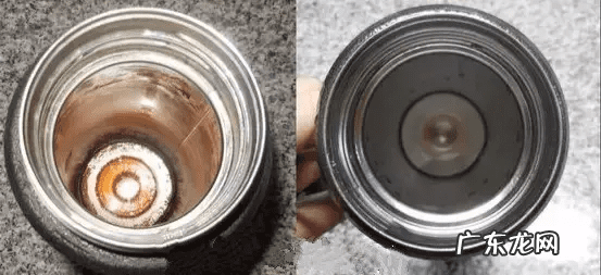 鸡蛋壳的妙用作文