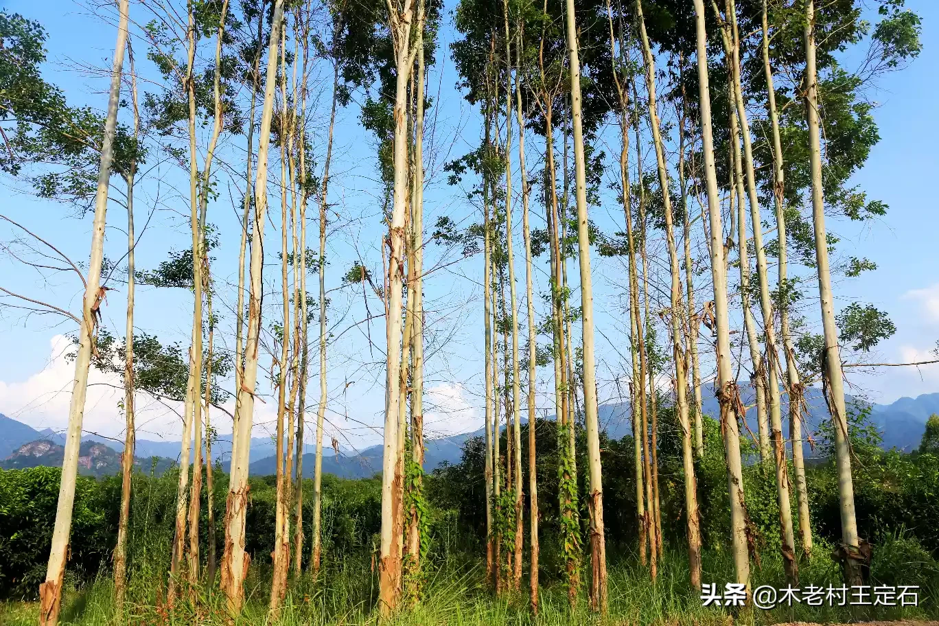 世界上最幸福的事是什么?