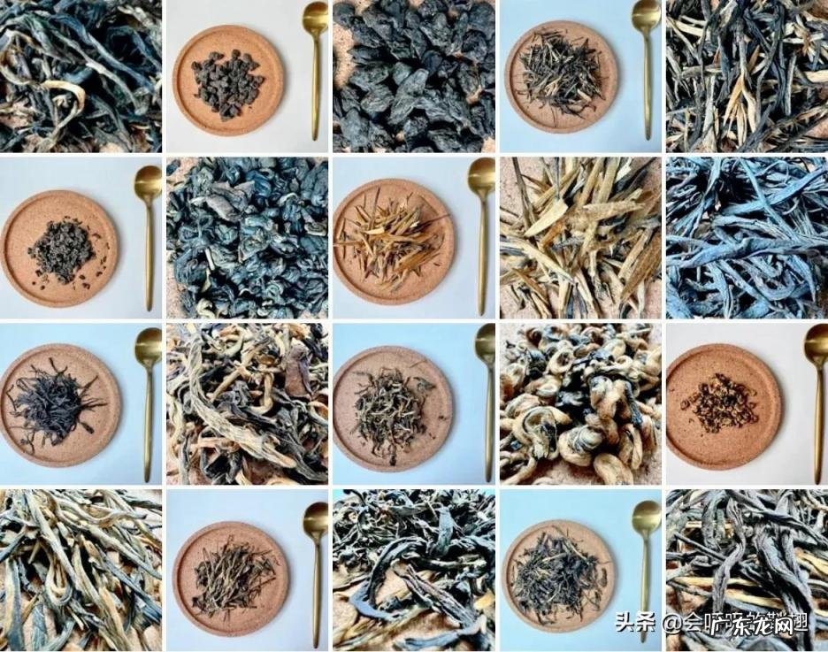 滇红金针的作用和特点是什么 滇红茶有几种