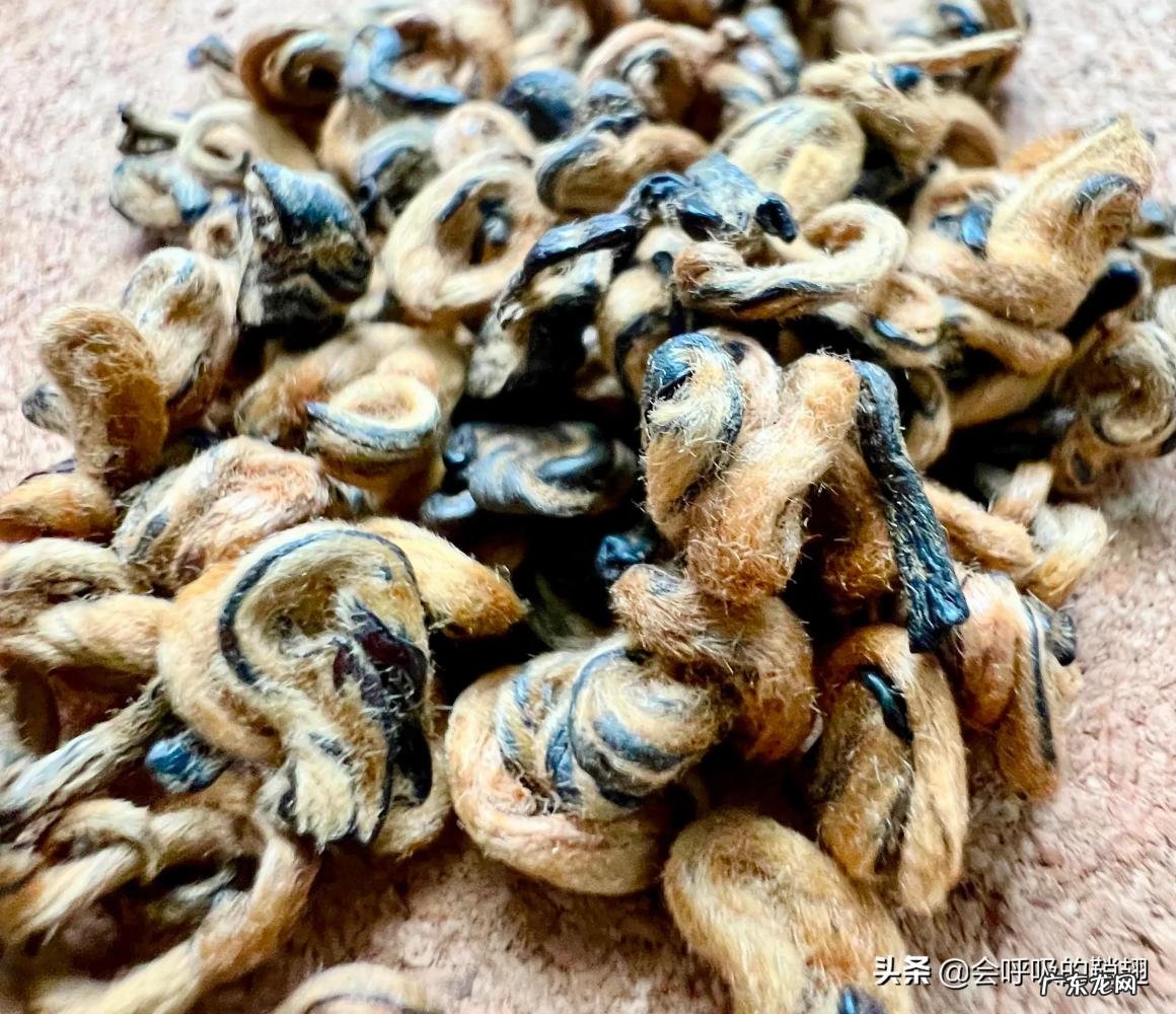 滇红金针的作用和特点是什么 滇红茶有几种