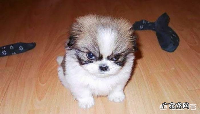 北方多地将冷如“三九”,江南入冬在即,这次的冷空气有多凶?