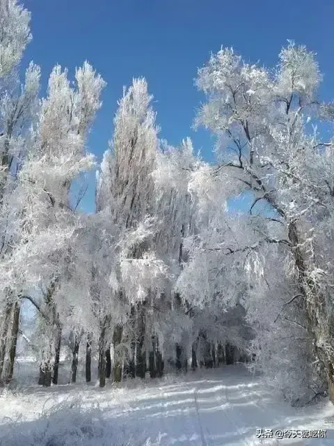 如何用“小雪”原创一首诗?