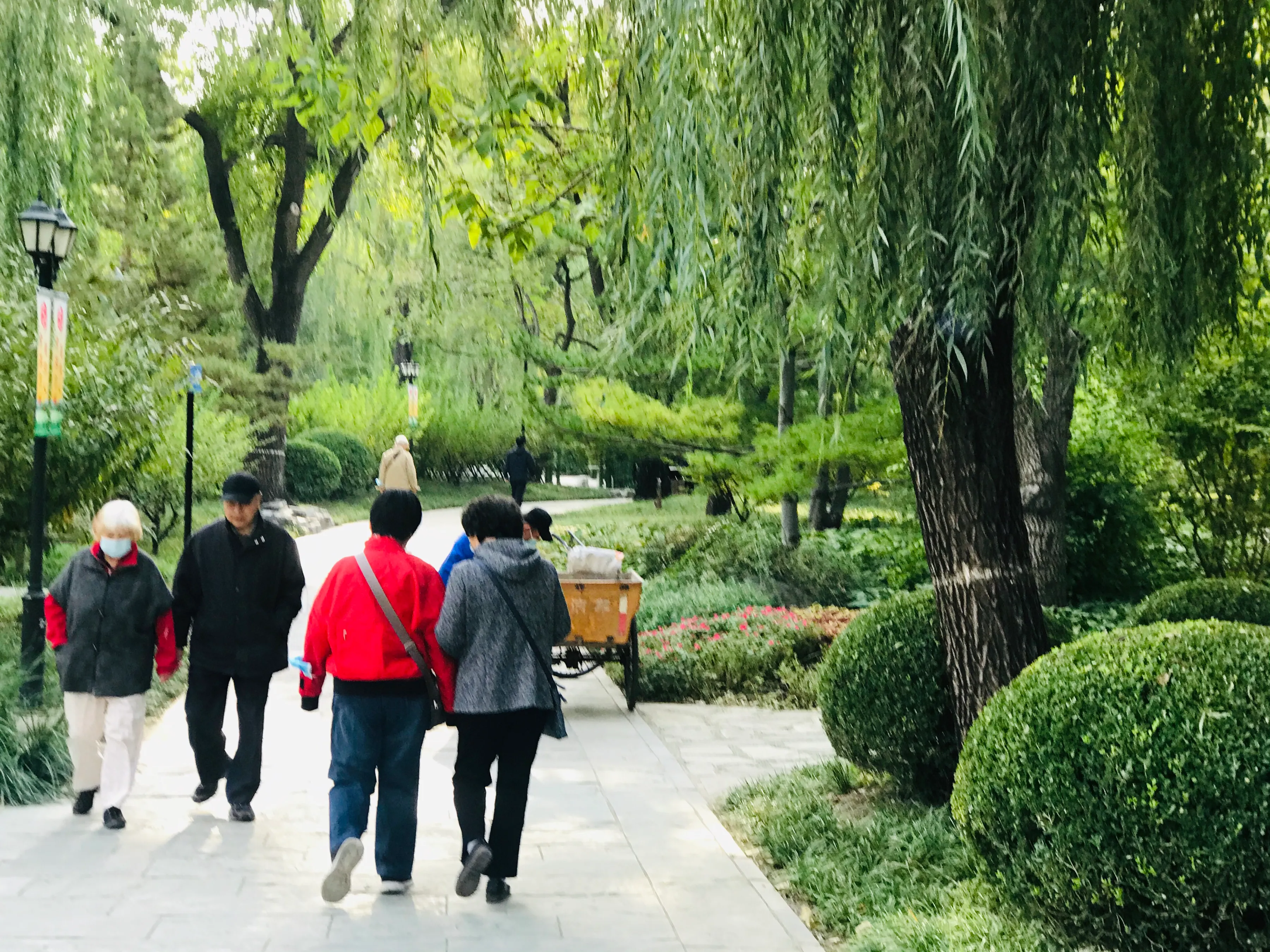 如果你父亲或者母亲不在了,你有没有经常梦到,而又是哭着醒来的?