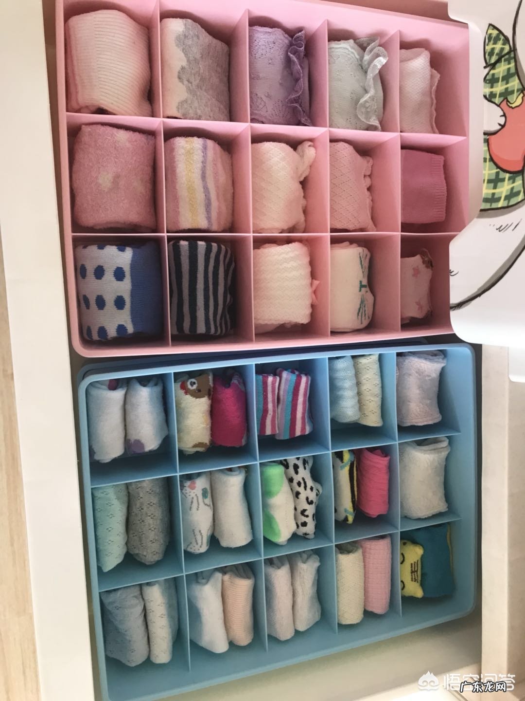 你平时是怎样坚持做家务的?