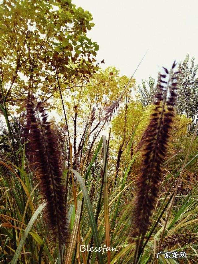 太原的汾河公园怎么样？