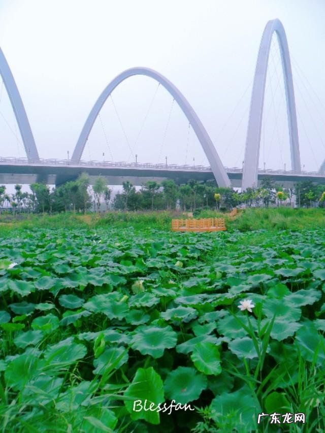 太原的汾河公园怎么样？