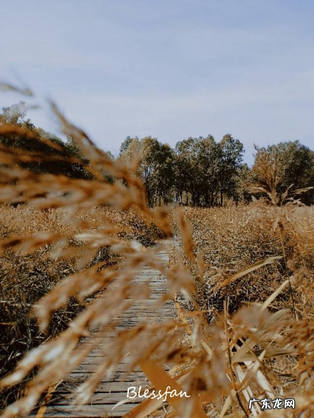 太原的汾河公园怎么样？