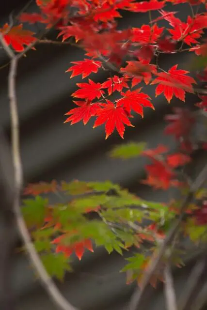 和处女男在一起是什么体验?