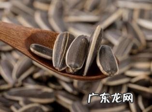 原味瓜子哪里产的最好 原味瓜子哪个牌子好吃实惠的