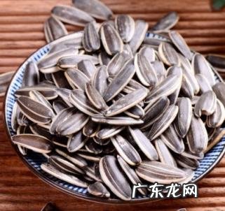 原味瓜子哪里产的最好 原味瓜子哪个牌子好吃实惠的