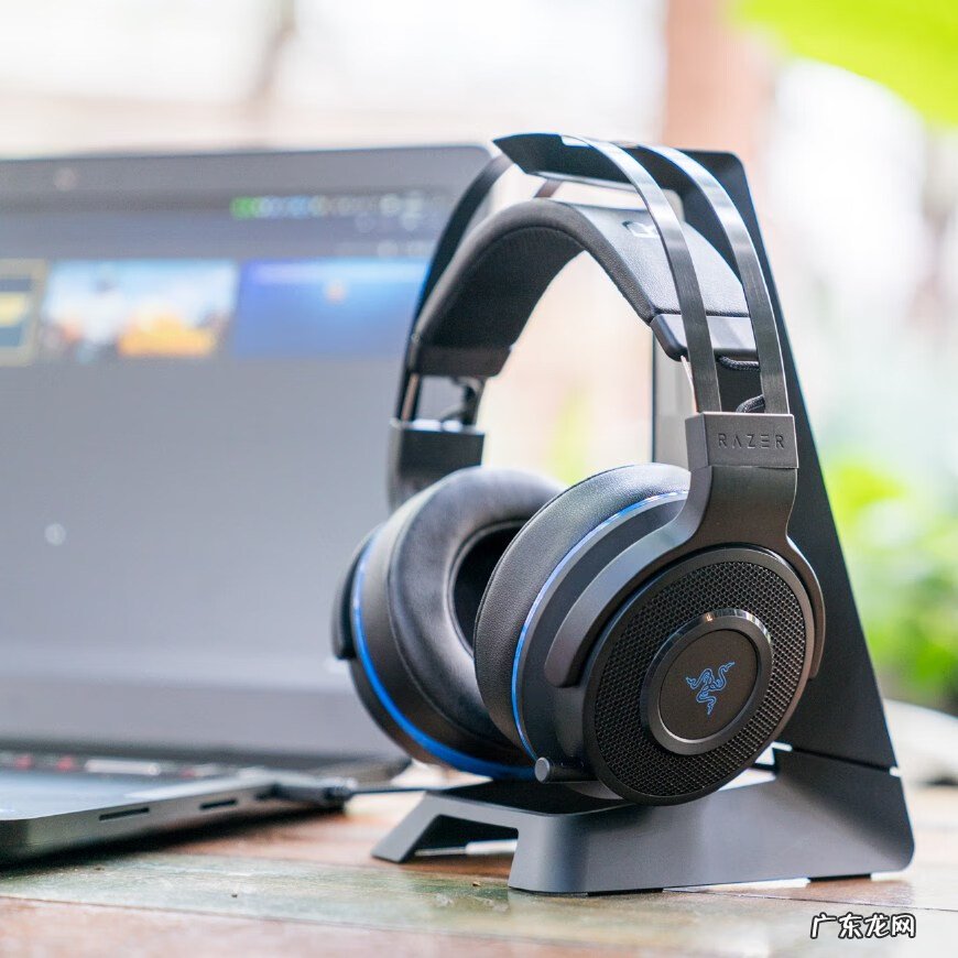 qq飞车雷克和雷蛇 qq飞车雷蛇怎么样