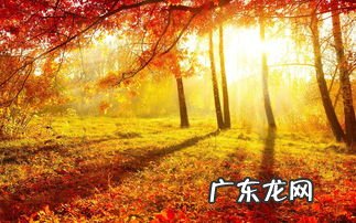 二年级下册关于秋天的古诗有哪些 关于秋天的古诗有哪些三年级上册简单