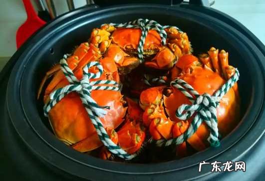 吃螃蟹需要工具吗 吃螃蟹不用工具怎么吃才好吃视频